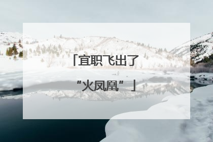 宜职飞出了“火凤凰”